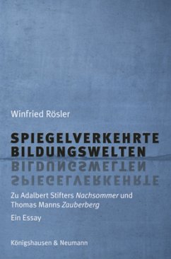 Cover Spiegelverkehrte Bildungswelten