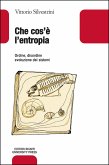 Che cos'è l'entropia. Ordine, disordine, evoluzione dei sistemi Che cos'è l'entropia. Ordine, disordine, evoluzione dei sistemi