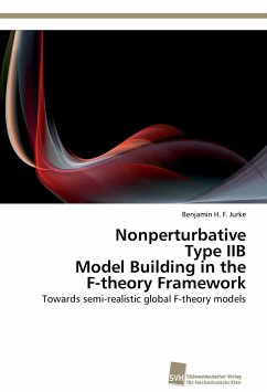 Nonperturbative Type IIB Model Building in the F-theory Framework - Jurke, Benjamin H. F.