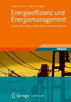 Energieeffizienz und Energiemanagement - Wosnitza, Franz;Hilgers, Hans Gerd