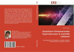 ETUDE DES MODES DE TRANSFERTS DES POLLUANTS URBAINS - Weber, Sébastien