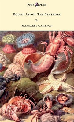 Round about the Seashore - With Eight Coloured Pictures - Cameron, Margaret