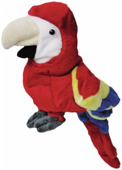 Cover Camden Market Junior