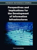 Perspectives and Implications for the Development of Information Infrastructures