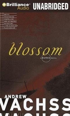 Blossom - Vachss, Andrew