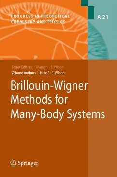 Brillouin-Wigner Methods for Many-Body Systems - Wilson, Stephen;Hubac, Ivan