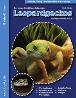 Leopardgeckos (Eublepharis Macularius) - Glebe, Dirk