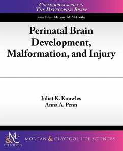 Perinatal Brain Development, Malformation, and Injury - Knowles, Juliet K.; Penn, Anna A.