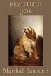 Beautiful Joe - Bild 1