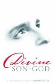 The Divine Son of God: A Commentary on John