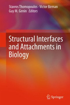 Structural Interfaces and Attachments in Biology