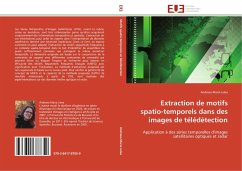 Extraction de motifs spatio-temporels dans des images de télédétection - Julea, Andreea Maria