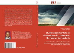 Etude Expérimentale et Numérique du traitement thermique des déchets - Andzi Barhé, Timoléon;Rogaume, Thomas
