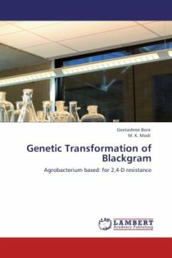 Genetic Transformation of Blackgram