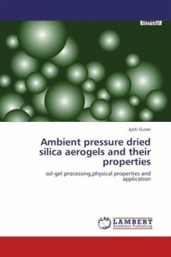 Ambient pressure dried silica aerogels and their properties