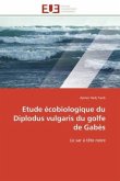 Etude Écobiologique Du Diplodus Vulgaris Du Golfe de Gabès