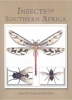 Insects of Southern Africa - Holm, Eric; Scholtz, Clarke