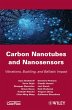 Carbon Nanotubes and Nanosensors - Bild 1