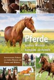 Pferde Pferde