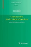 Compressible Navier-Stokes Equations