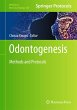 Odontogenesis - Bild 1