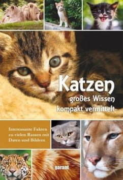 Katzen