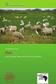 Ovis Ovis
