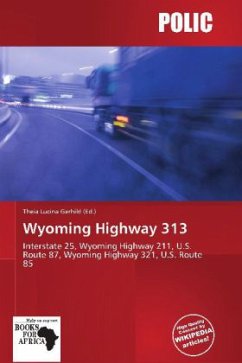 Wyoming Highway 313