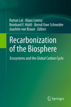 Recarbonization of the Biosphere