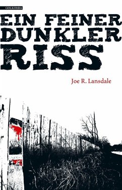 Ein feiner dunkler Riss - Lansdale, Joe R.