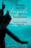 Messages from the Angels of Transparency