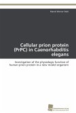 Cellular prion protein (PrPC) in Caenorhabditis elegans