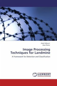 Image Processing Techniques for Landmine