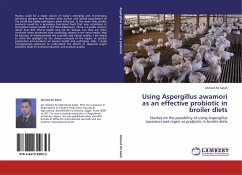 Using Aspergillus awamori as an effective probiotic in broiler diets - Saleh, Ahmed Ali