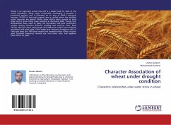 Character Association of wheat under drought condition