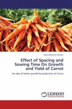 Effect of Spacing and Sowing Time On Growth and Yield of Carrot