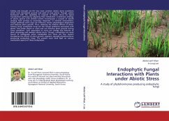 Endophytic Fungal Interactions with Plants under Abiotic Stress