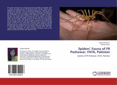 Spiders¿ Fauna of FR Peshawar, FATA, Pakistan