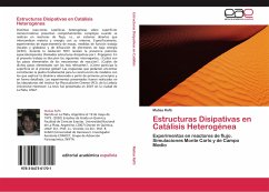 Estructuras Disipativas en Catálisis Heterogénea - Rafti, Matías