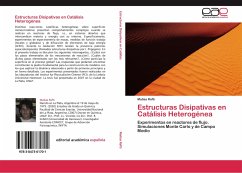 Estructuras Disipativas en Catálisis Heterogénea