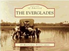 The Everglades - Carr, Robert S.; Harrington, Timothy A.