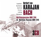 Bach: Matthäuspassion Bwv244