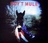 Gov'T Mule - Bild 1