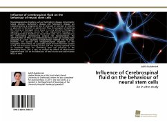 Influence of Cerebrospinal fluid on the behaviour of neural stem cells - Buddensiek, Judith