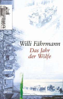 Das Jahr der Wölfe / Die Bienmann-Saga Bd.3 - Fährmann, Willi