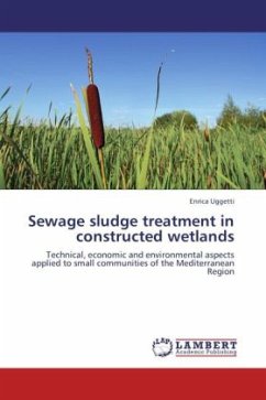 Sewage sludge treatment in constructed wetlands