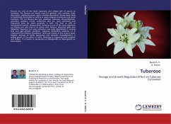 Tuberose