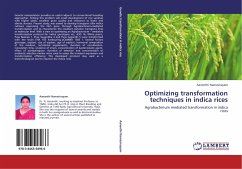 Optimizing transformation techniques in indica rices - Namasivayam, Aananthi