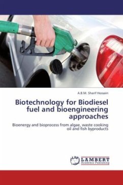 Biotechnology for Biodiesel fuel and bioengineering approaches