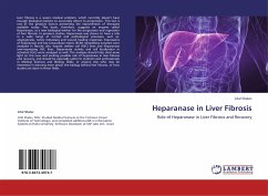 Heparanase in Liver Fibrosis